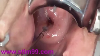 84 bizarre porn videos